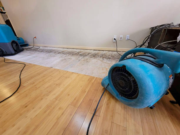 Professional Sewage Cleanup technician working in Laurel, NY